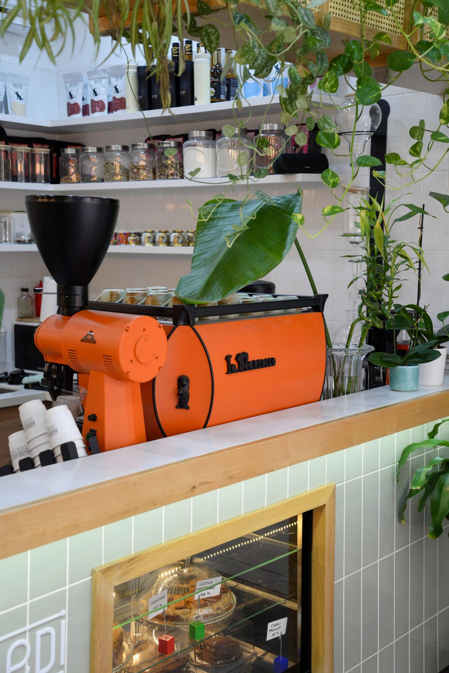Coffee machine and greenery