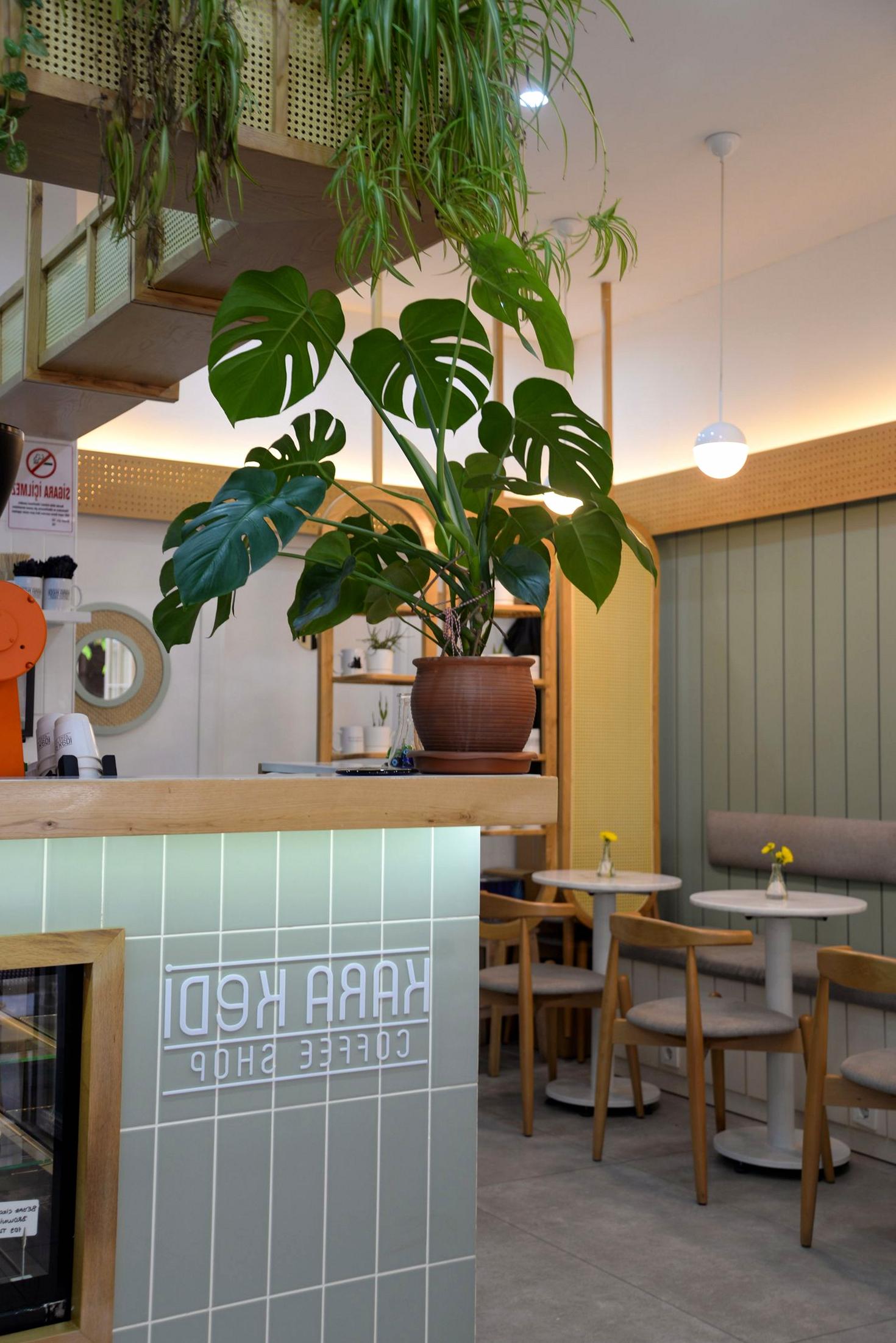 Cafe interior with plants