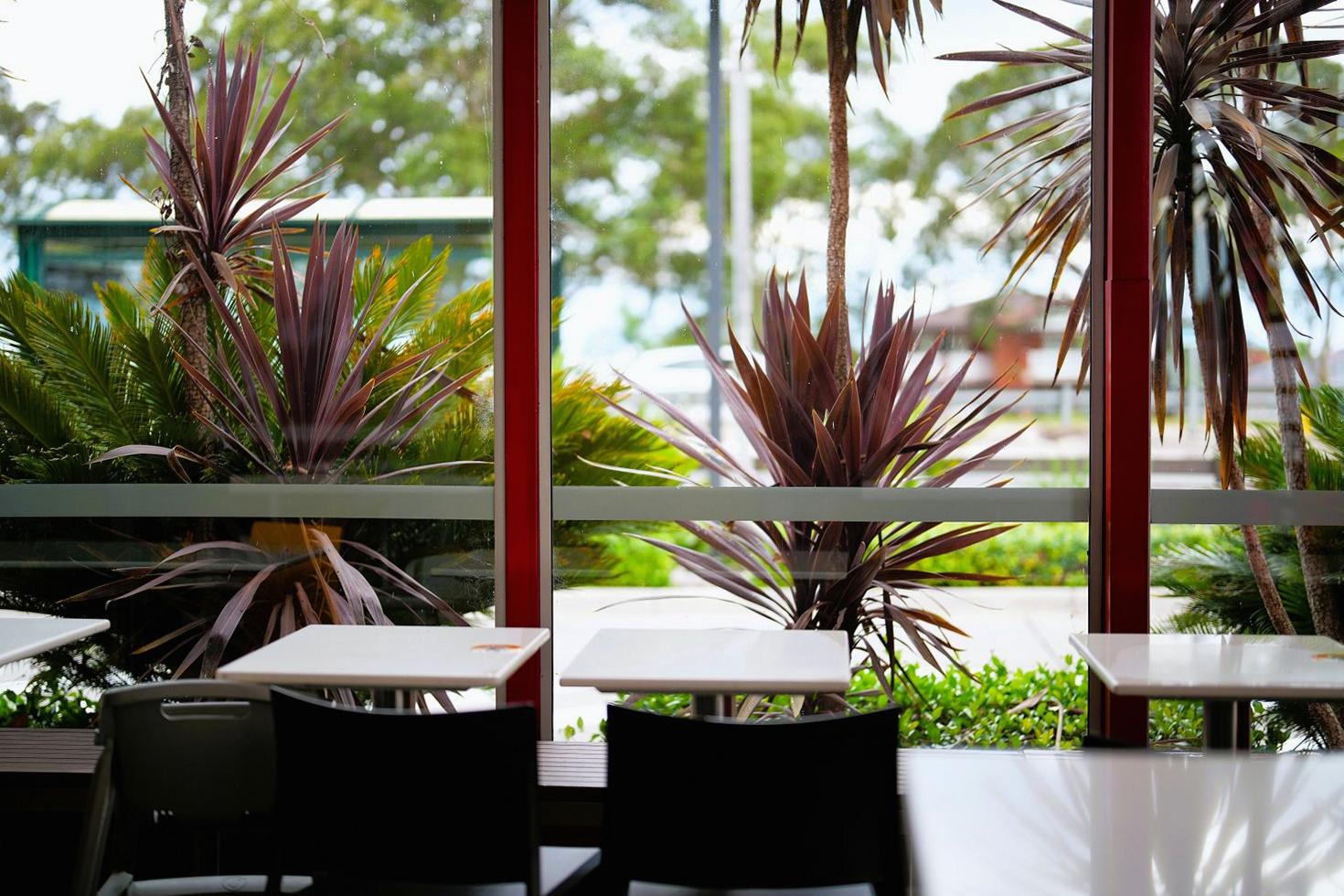Welcoming atmosphere at Actionofferline vegan café