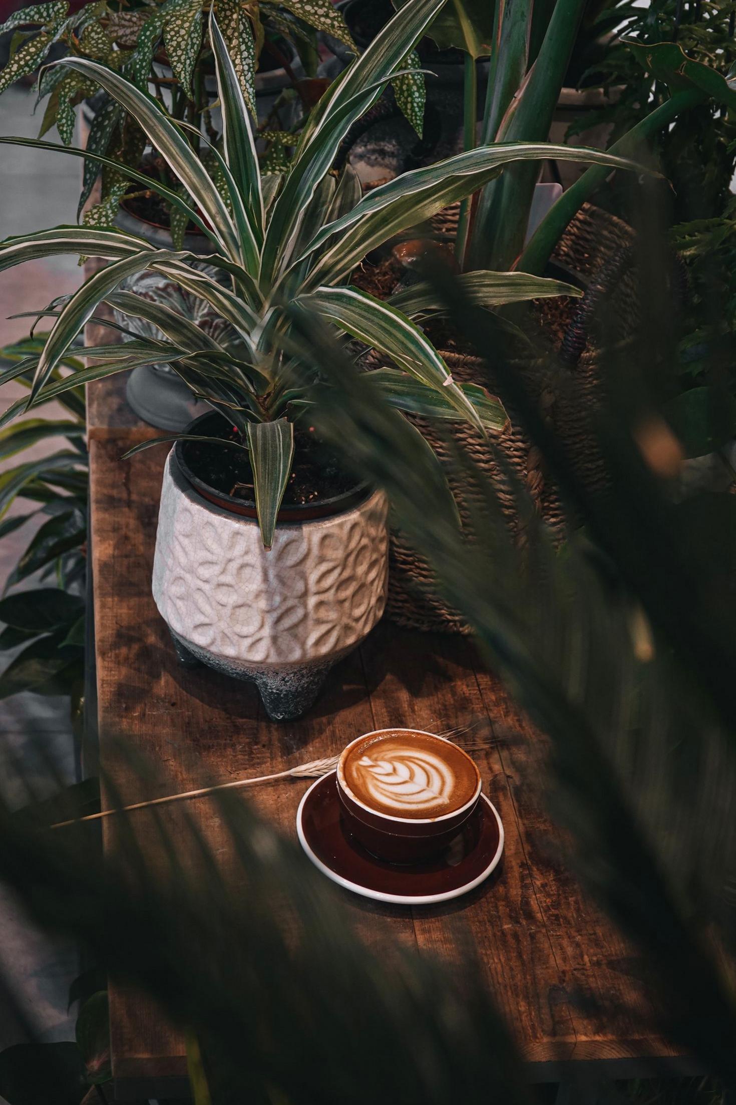Latte on rustic table