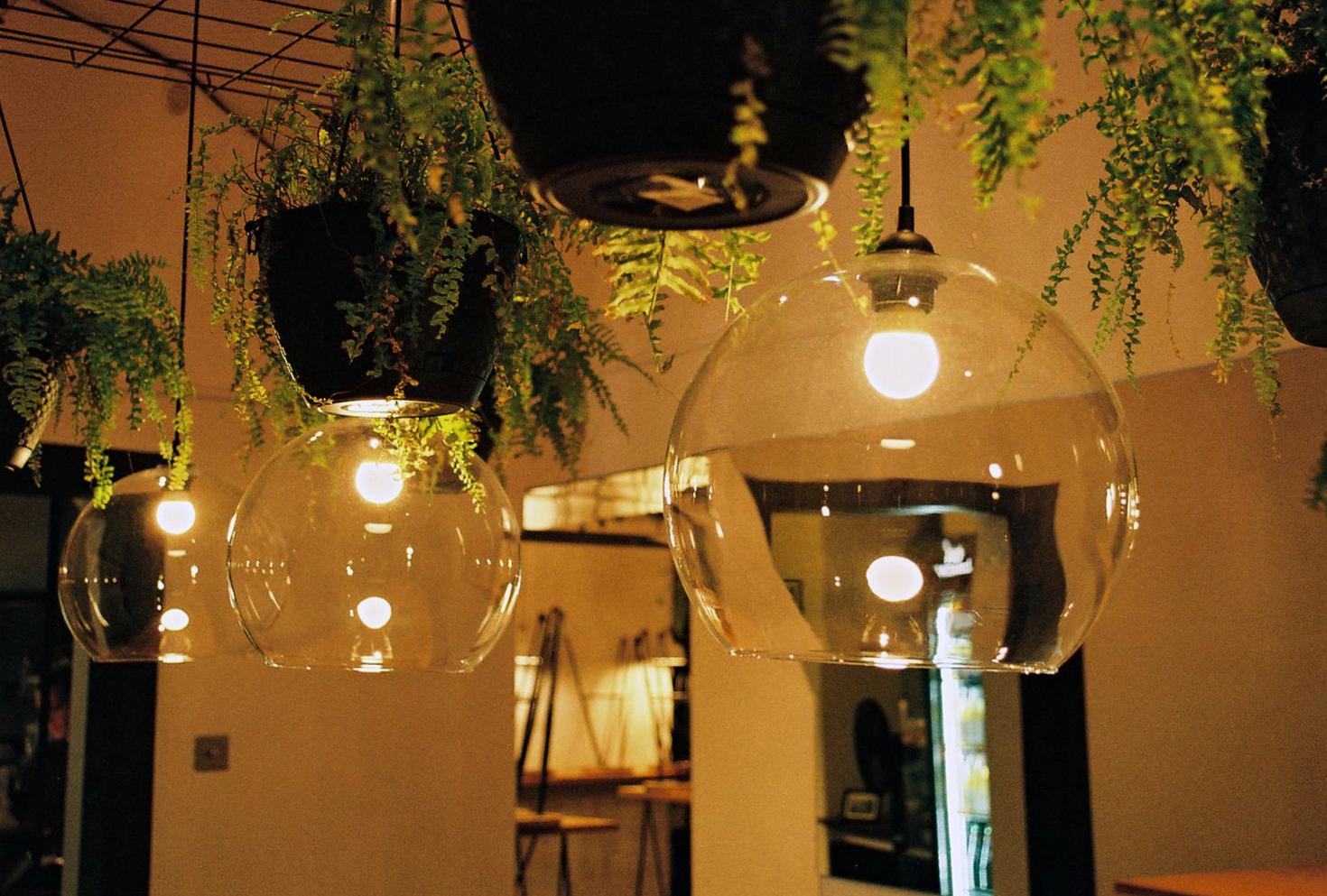 Warm cafe ambiance